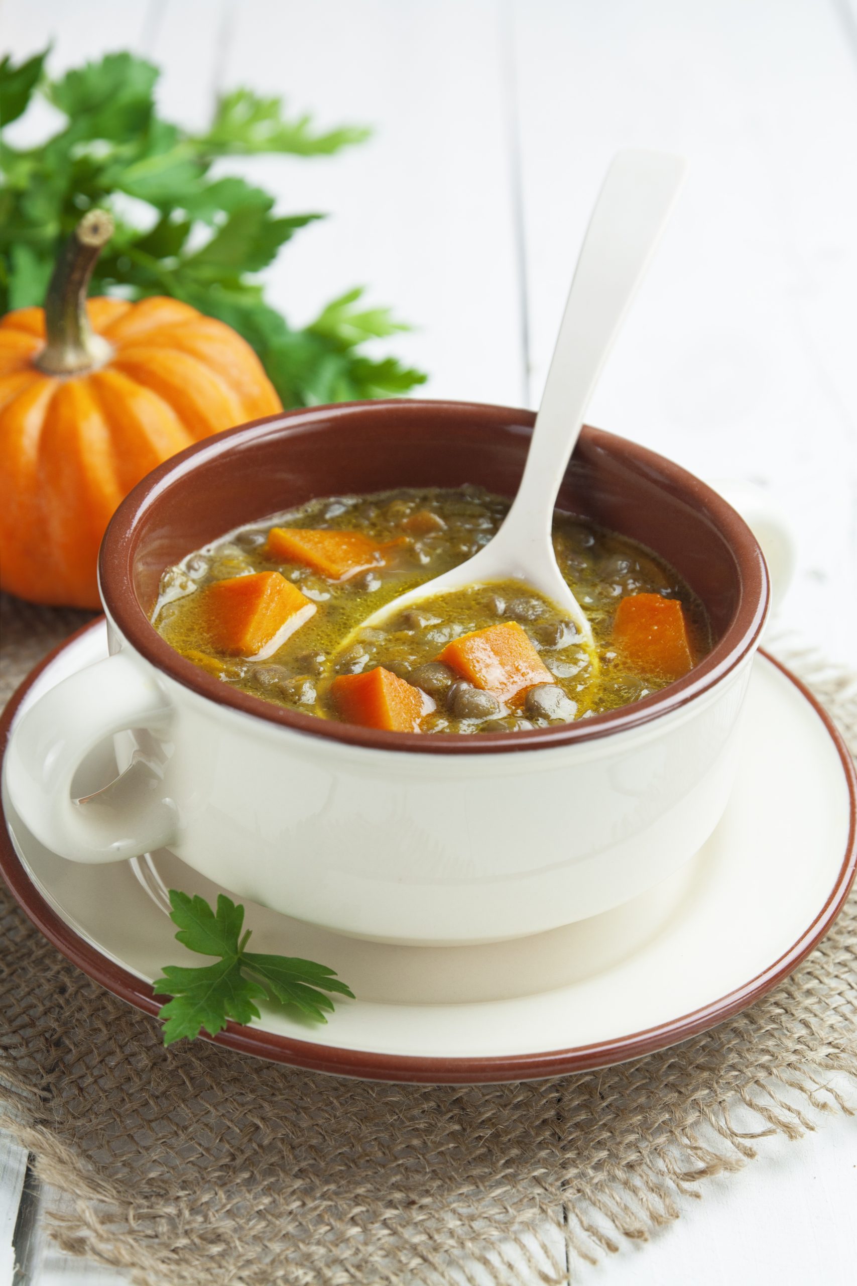 You are currently viewing Chicken, Pumpkin & Lentil Soup